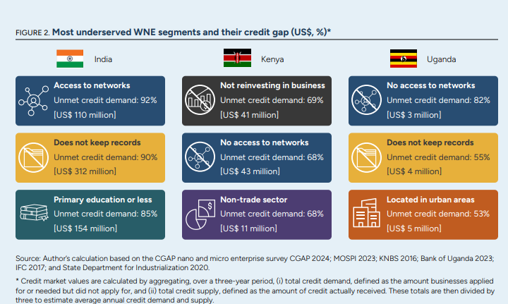 Figure 2 Most underserved WNE segments and their credit gap