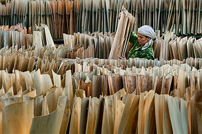 Photo: Hoang Long Ly, 2017 CGAP Photo Contest