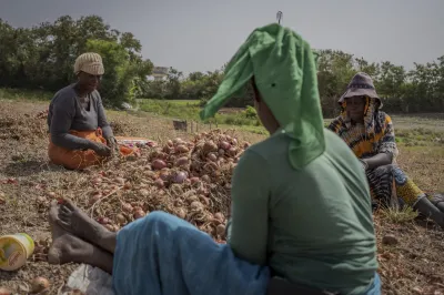 Women sit in a field