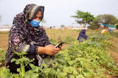 a woman farmer uses her mobile phone while harvesting vegetables
