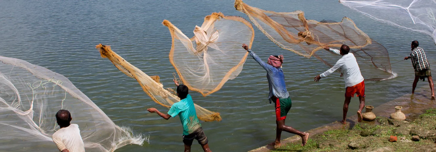 a group of fishermen casting nets