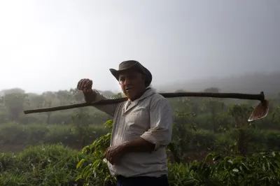 A man stands in a misty field