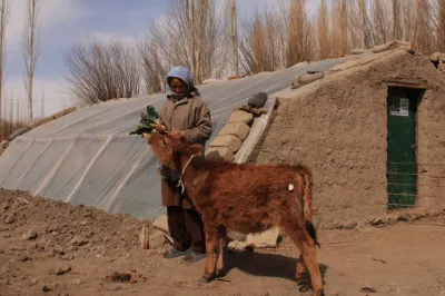 woman standing in front of a mud building with a cow