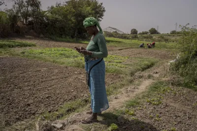 A woman looks at her phone in a field