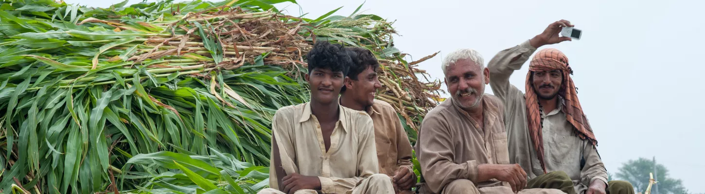 Smallholders working with the Wasil Foundation in Pakistan | Photo by Ayesha Vellani
