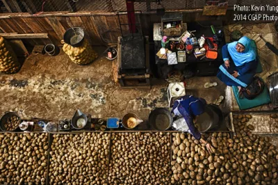 Potato Merchant Kevin Yung