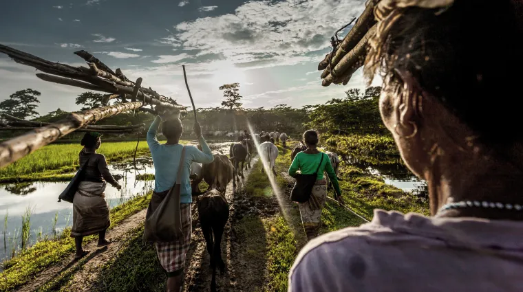 a group of women farmers walking through a field
