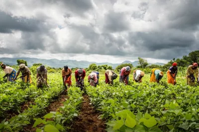 Photo Credit: Wim Opmeer, CGAP