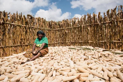 Tanzanian smallholder farmer Jaconda Chengula sits atop her maize harvest.