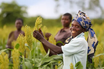 a farmer in a headwrap smiles at the camera 